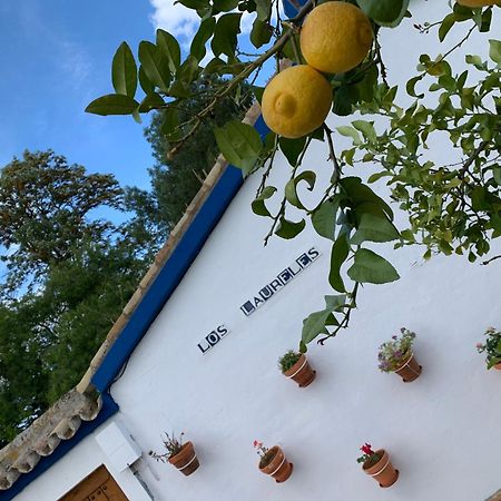 Casa Los Laureles 필라스 외부 사진