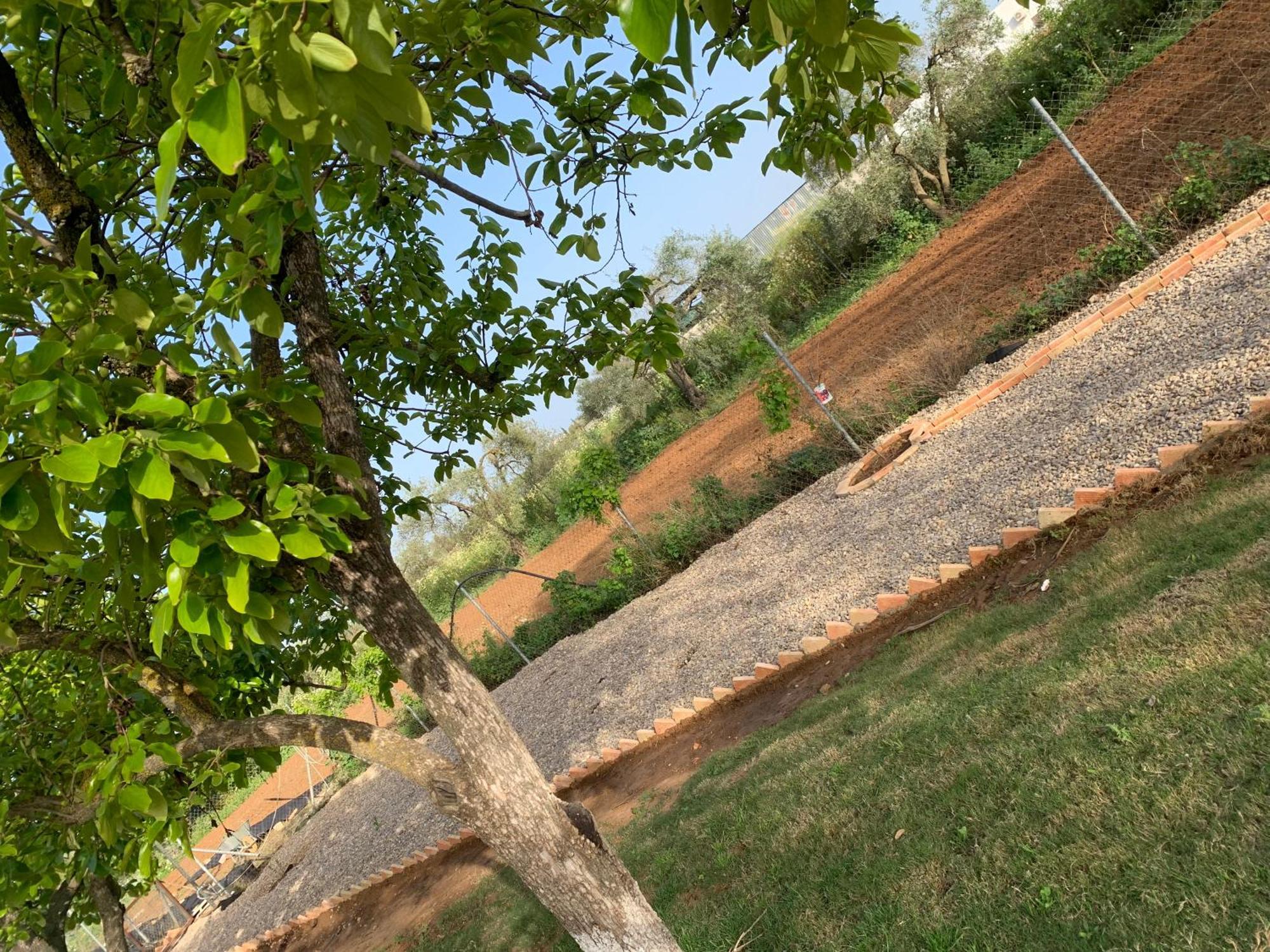 Casa Los Laureles 필라스 외부 사진