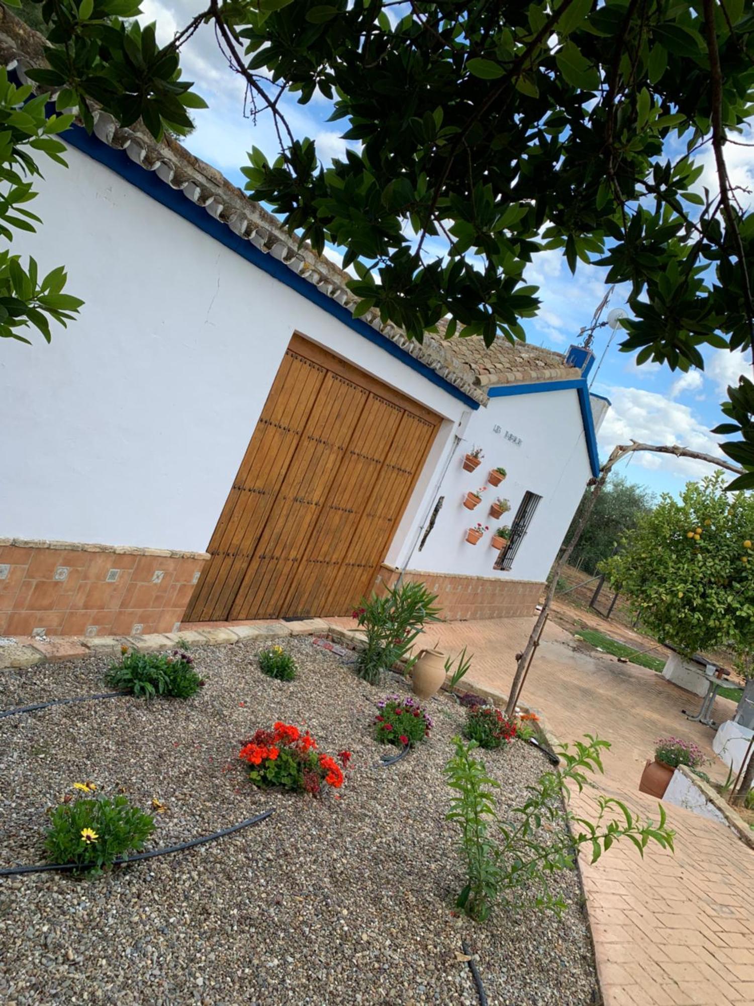 Casa Los Laureles 필라스 외부 사진