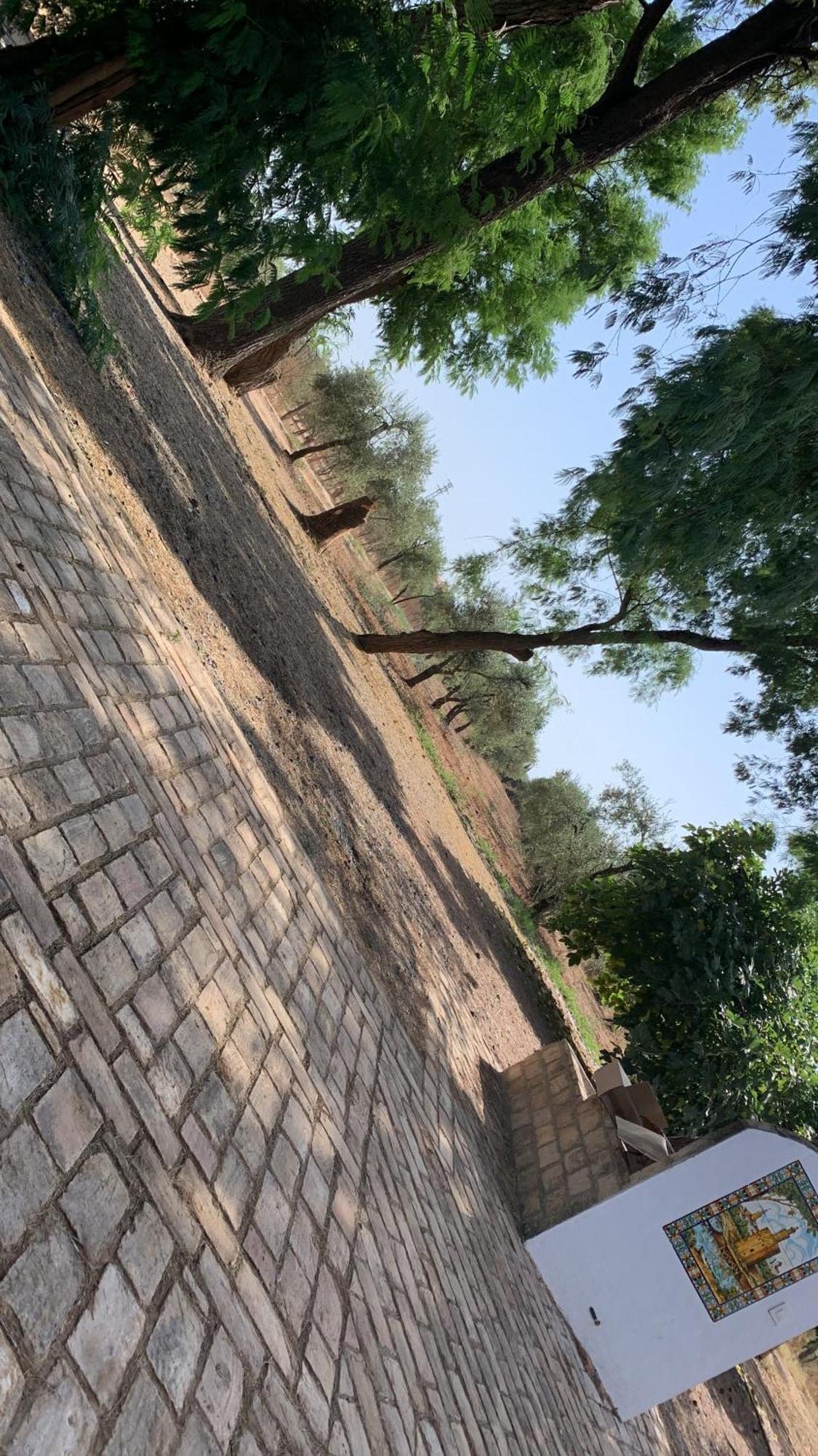 Casa Los Laureles 필라스 외부 사진