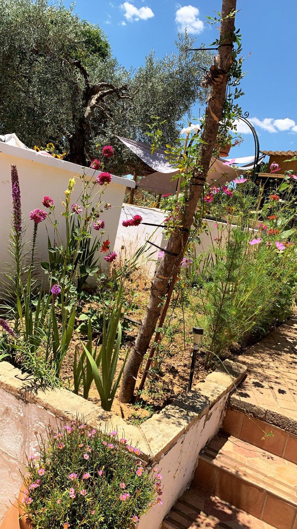 Casa Los Laureles 필라스 외부 사진