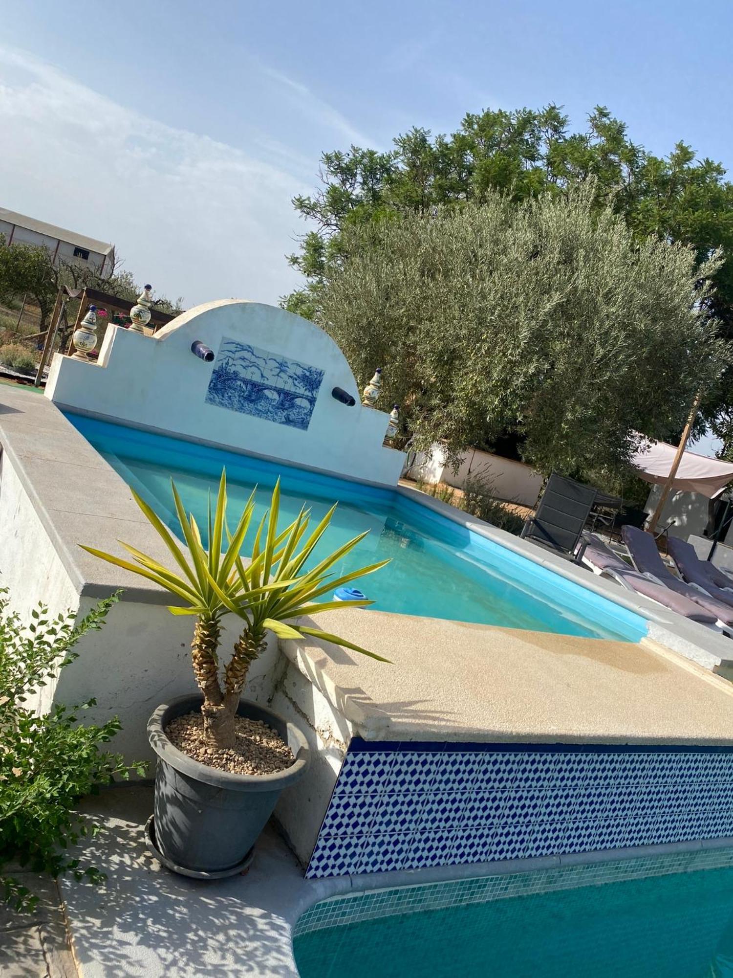 Casa Los Laureles 필라스 외부 사진